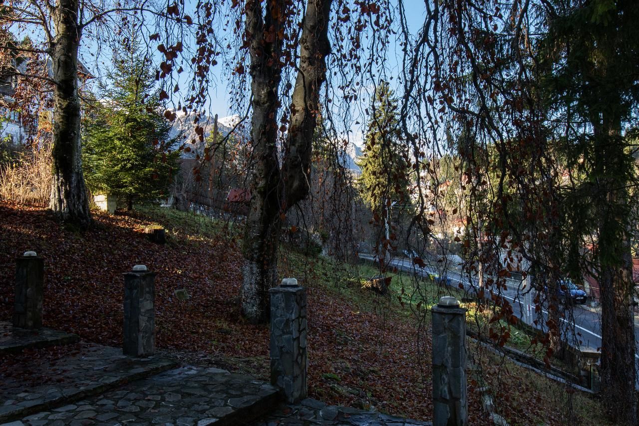 Гостевой дом Vila Retezat Sinaia Синая-26