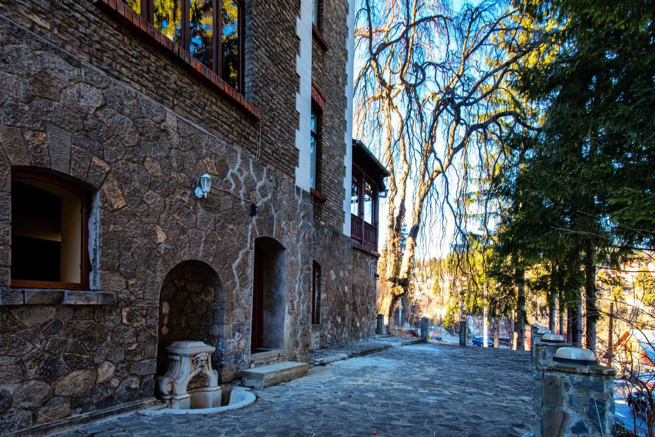 Гостевой дом Vila Retezat Sinaia Синая-28