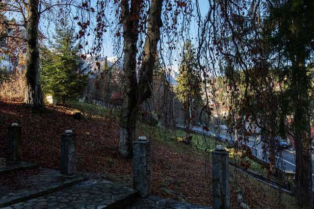 Гостевой дом Vila Retezat Sinaia Синая-25